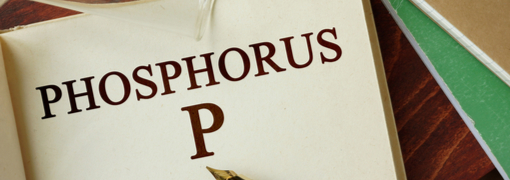 בדיקת רמת הזרחן בדם (Phosphorus) - תמונה